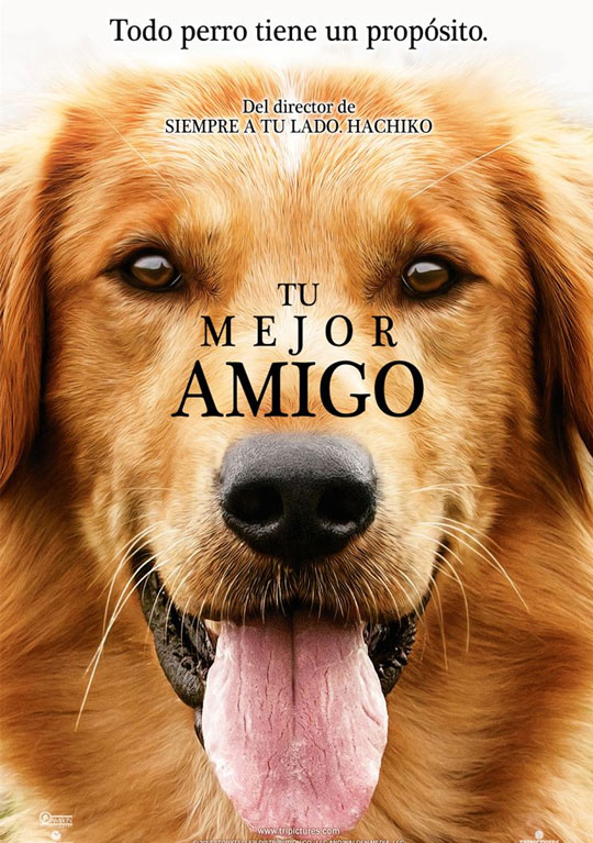 Dos tráilers de ‘Tu mejor amigo’. Lección vitalista de un perro que no paraba de reencarnarse.