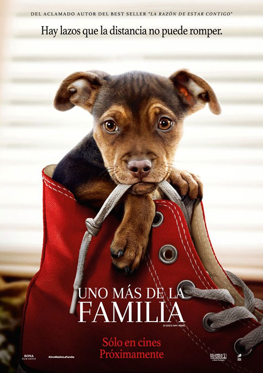 Tráiler de ‘Uno más de la familia’. Una perrita perdida con voz de Bryce Dallas Howard quiere volver a su hogar.