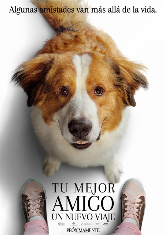 Tráiler de ‘Tu mejor amigo. Un nuevo viaje’. El perro que no para de reencarnarse vuelve para cuidar a la nieta.